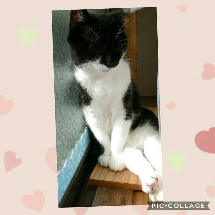 19b154d4 8ae2 42fc b7d5 aca3d201c875 1545977436708