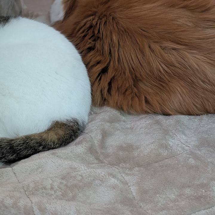 19b18b16 081d 4b88 9d53 d5f2cd8acb00 1767226985516