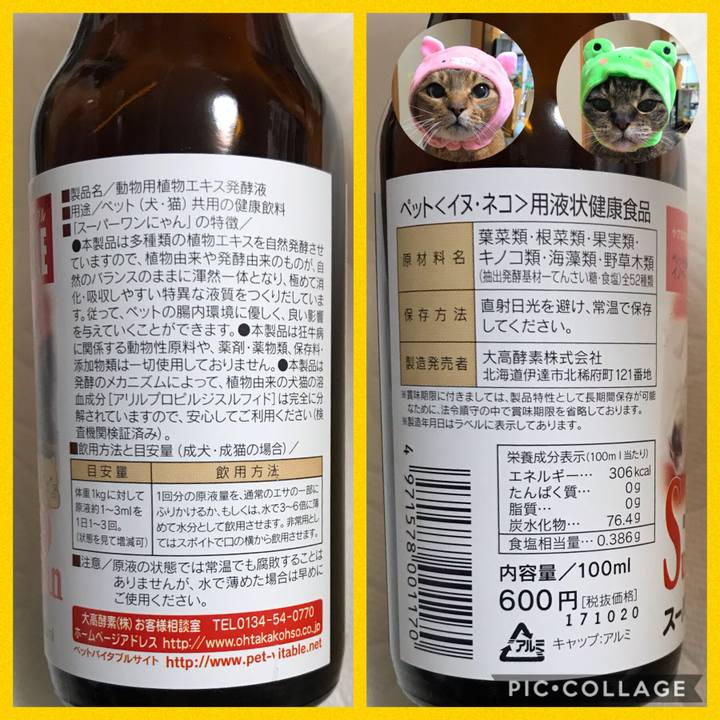 19b1a738 1cca 4629 90cd 04a3048c6acd 1549459424266