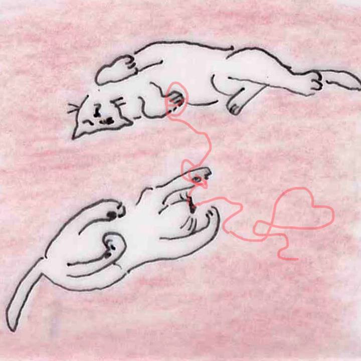 19b1b8a5 f7b3 44df 988d b65fd768005b 1648601977997