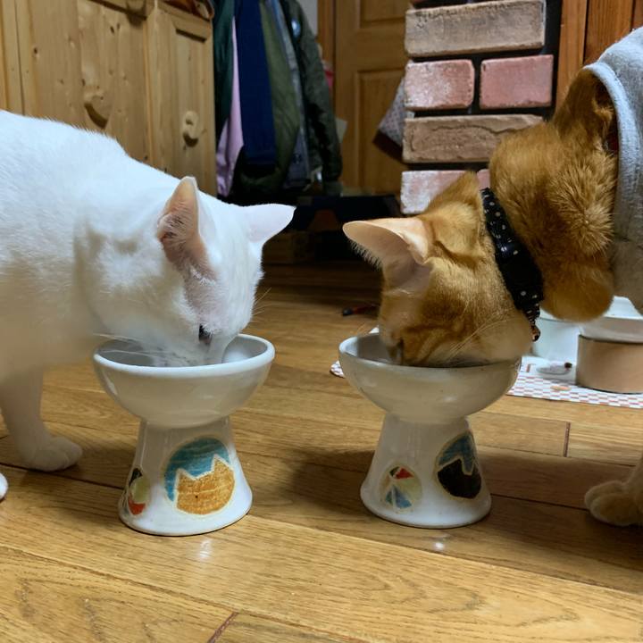 19b1ca89 72e0 4995 a059 cf71af03699f 1605532521268