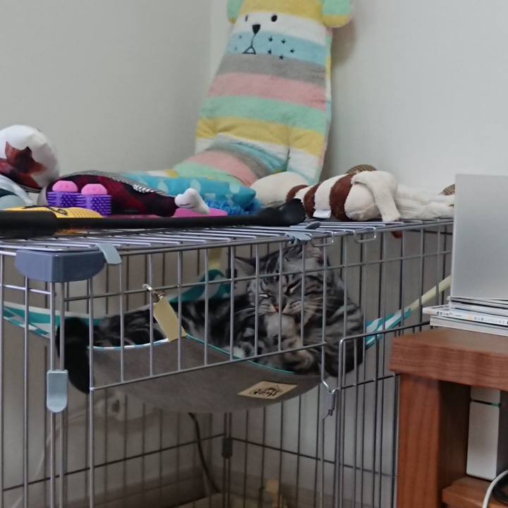 19b203a5 89d5 466f 97dd c32039c0eddd 1560234822045