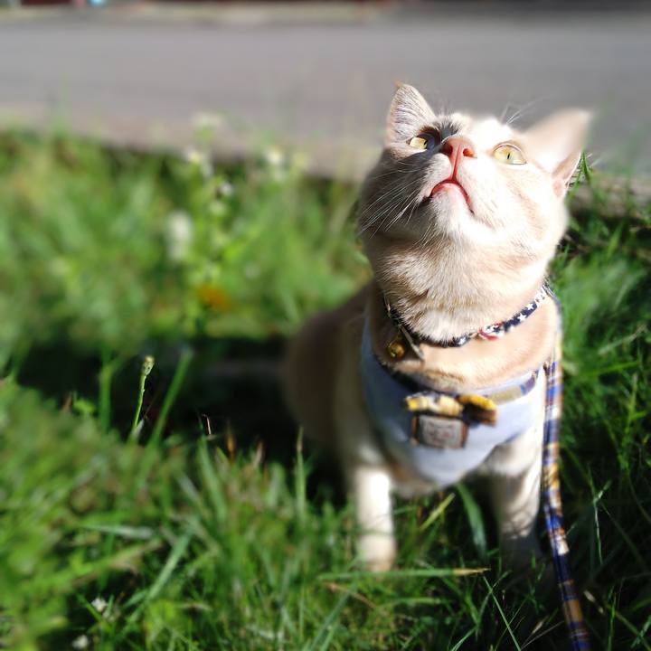 19b2082b a963 4bd5 9048 927e4ba9ee23 1570344142422