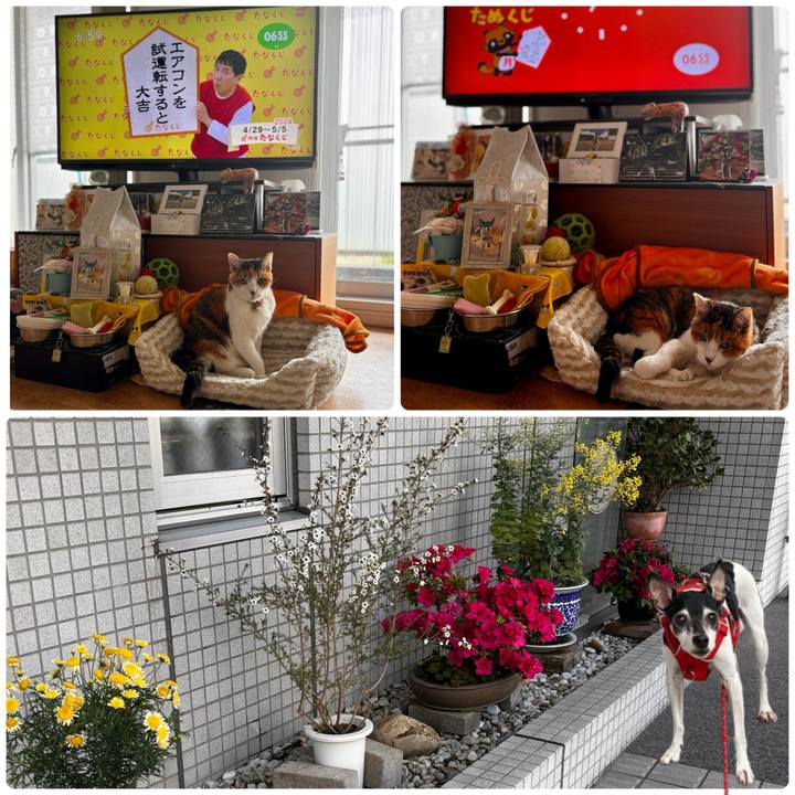 19b20d79 8432 488b 8e68 b72de237cfe2 1714342017891