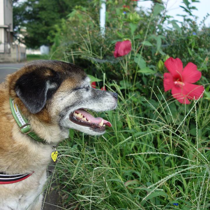 19b243f4 1d13 4009 8ed0 ba0a8737eec3 1564877459359