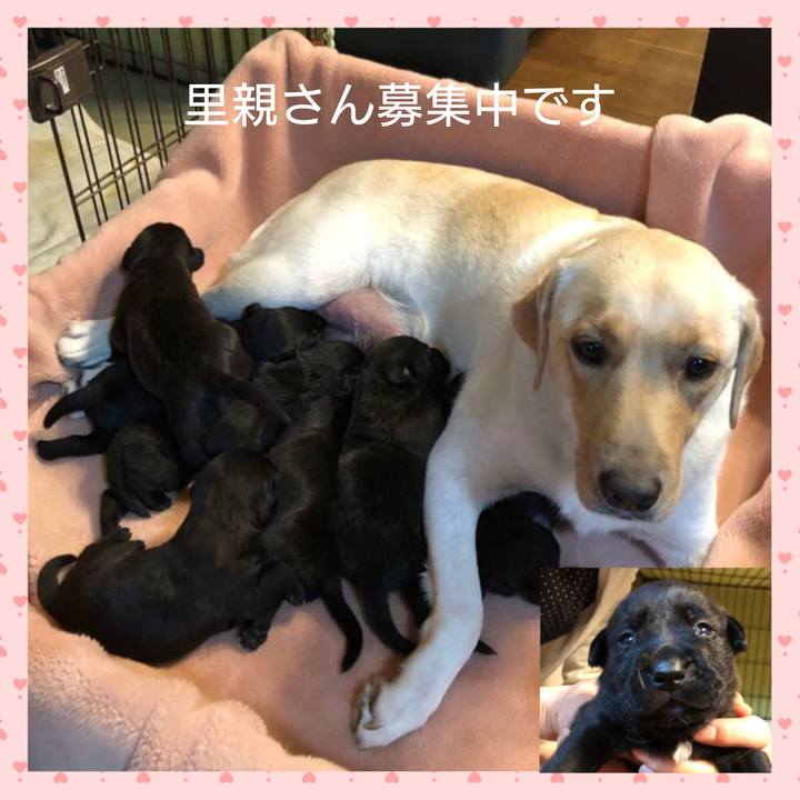 19b268a5 de8c 452f a53a a399ba6f1cd5 1604183169030