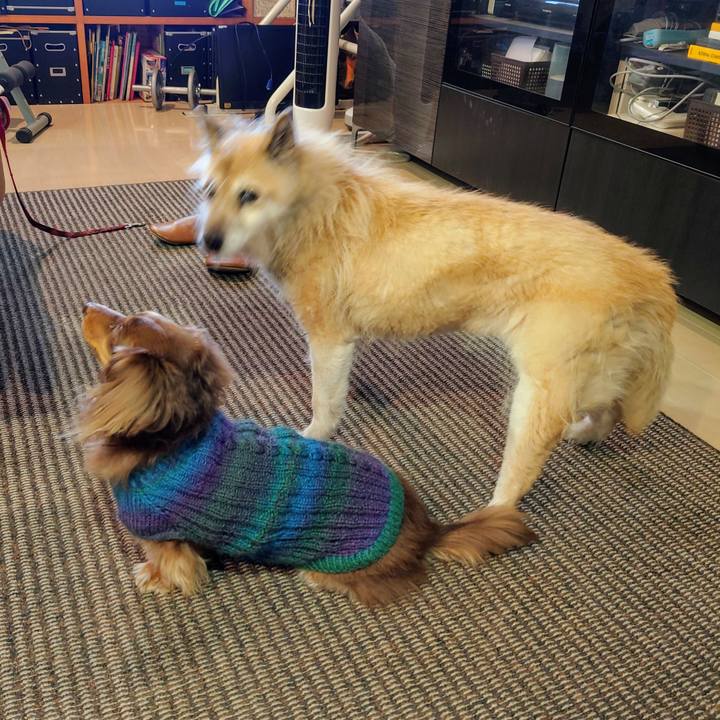 19b271ad be6d 439e b406 2417d7972706 1608250195981