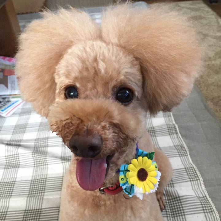 19b28bfb b8ea 45db 9625 6d265a927386 1540978138521