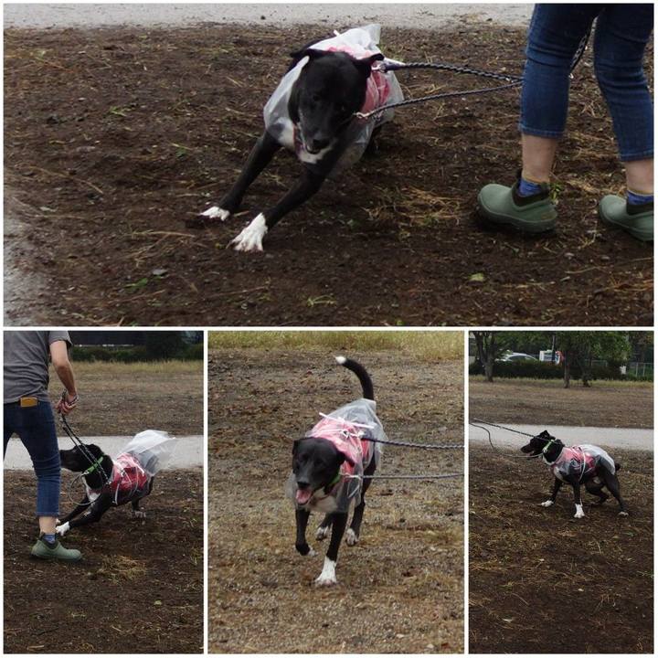 19b294cf 6e13 40ef a87d 9933dae0501a 1634345859605