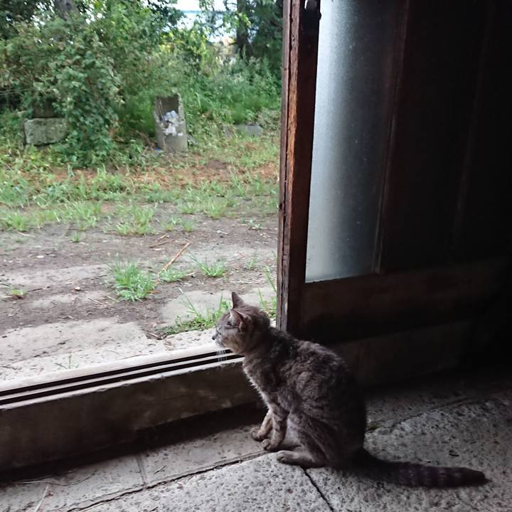 19b2bc7f f8af 43db a9a9 8d50913c4cab 1598820984995