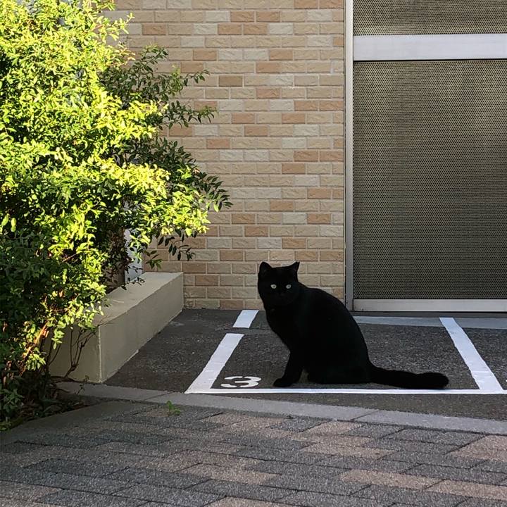 19b2dfda fb70 4753 8559 59d96c29cd5c 1573213237178