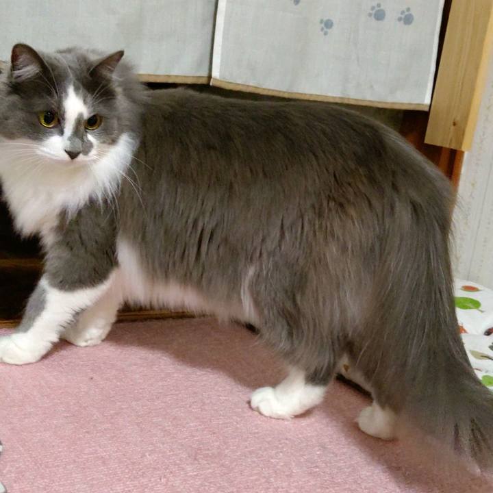 19b2ee68 6a6a 4346 836e af3b0f6f2ab0 1616575563218