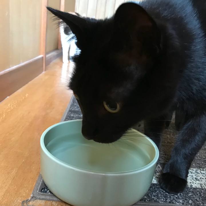 19b2fcfb c726 46c2 81d7 e4a5d57c0847 1529369798450