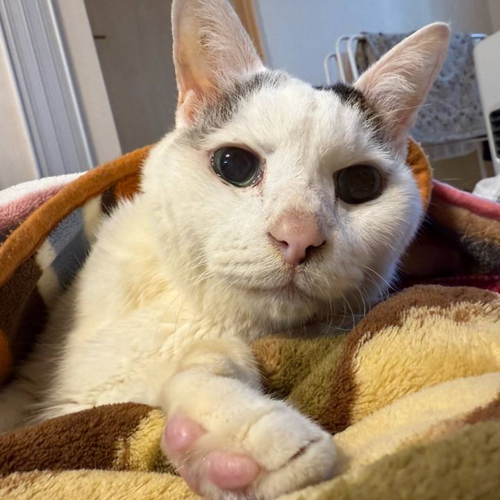 19b32bf2 0d16 479c 9c3a be5c55d4bb72 1768520973310