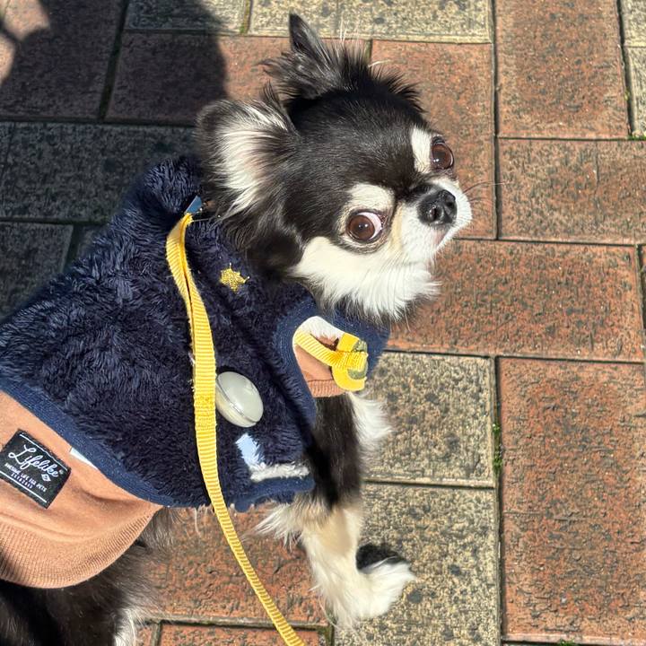 19b3385e ee72 4ba1 bb13 96aa38dc9089 1740412489446