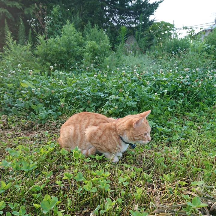 19b36088 8261 4281 8bba eeaf21f1adca 1564433789759