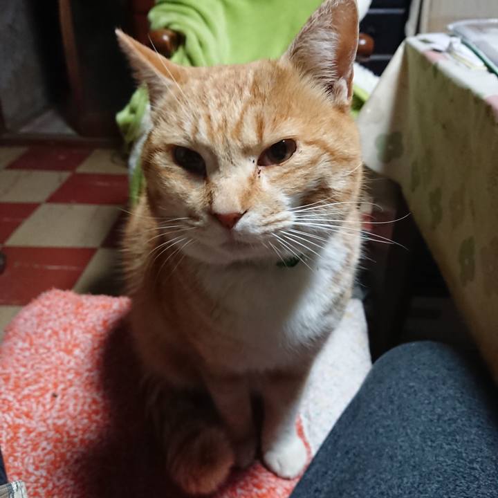 19b365a6 bb3c 40a6 bb31 4ddacc40eb2a 1583267831999