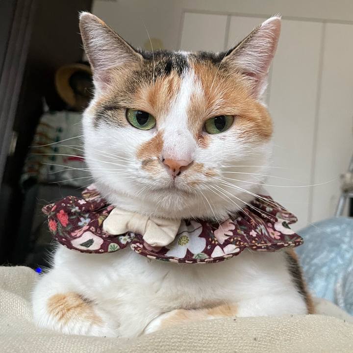 19b36a96 cbc9 4e7f 98bc a9640eb0d628 1757909453452