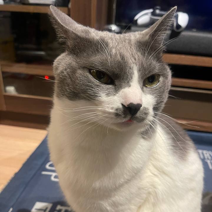 19b37efb 41b7 4987 9000 83dcd871b349 1704636486587