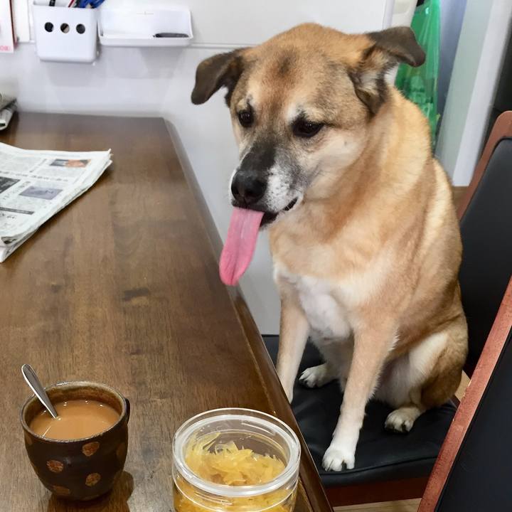 19b37f6d 17fb 480a 96ba 51d652570a59 1551009451486