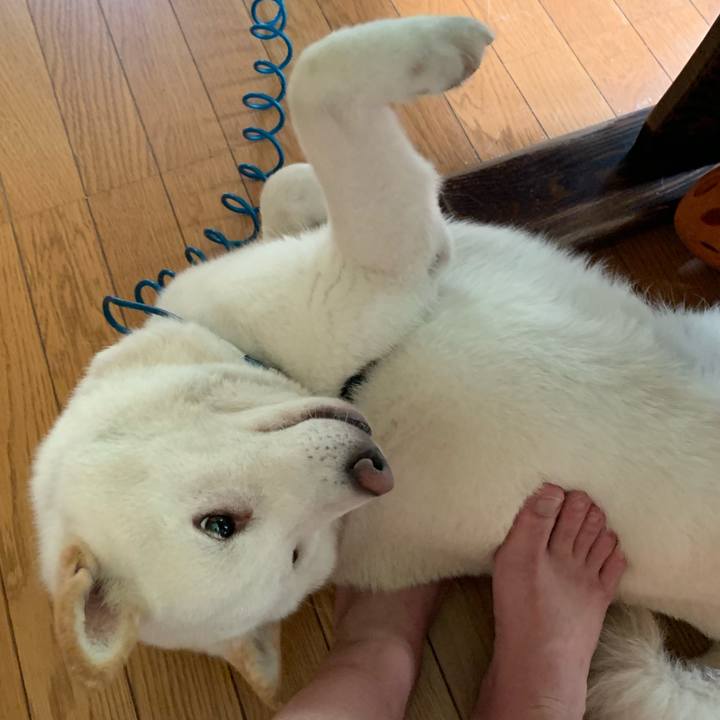 19b3bae1 7ca5 465e 825a b88361d4b638 1595131439692