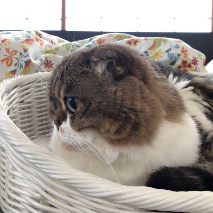 19b3c139 0095 4c4f 9dd9 e441779dffcf 1541823011291