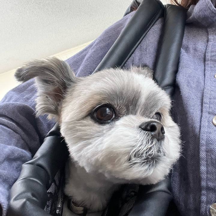 19b3dd77 6bc8 4084 9bc0 4d734ae30946 1713842627096