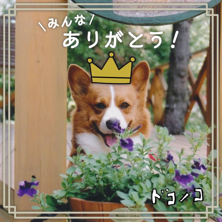 19b3fa2b 2db1 46dc b304 81c4ba2fa555 1622964147573