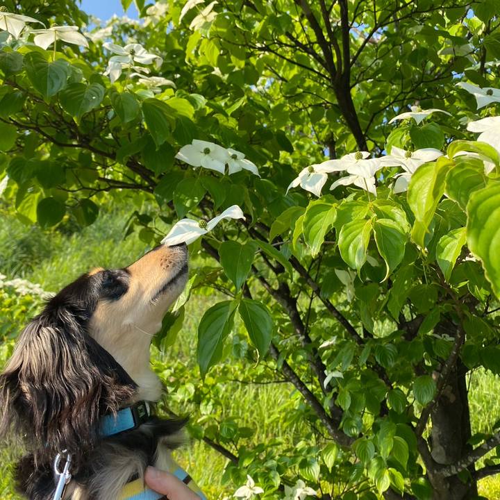 19b41ccf 6237 479f aabb e87c3e8ccbca 1683763428967