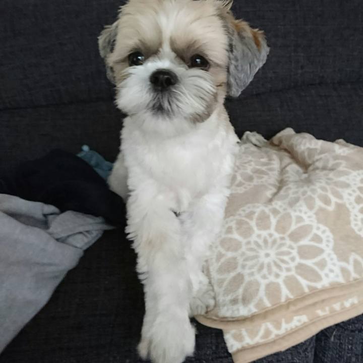 19b44590 cf81 4413 98c4 3228331cf714 1525734070344