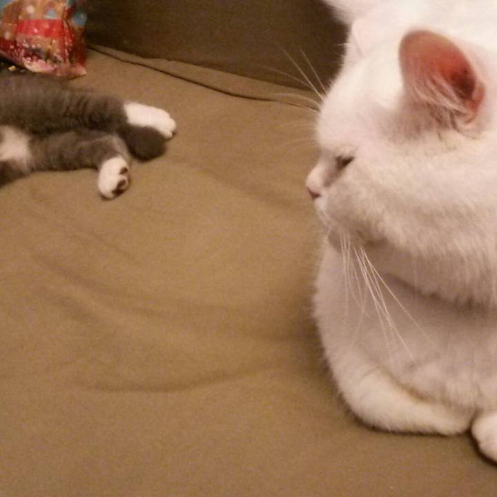 19b45181 2e9e 454c 8b77 fbf1c8c3b2d8 1532470615681