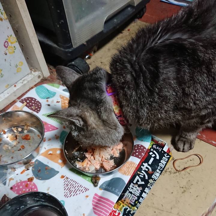 19b4a89a 0bd5 4231 8a5e 10e1fbf073e5 1588624691400