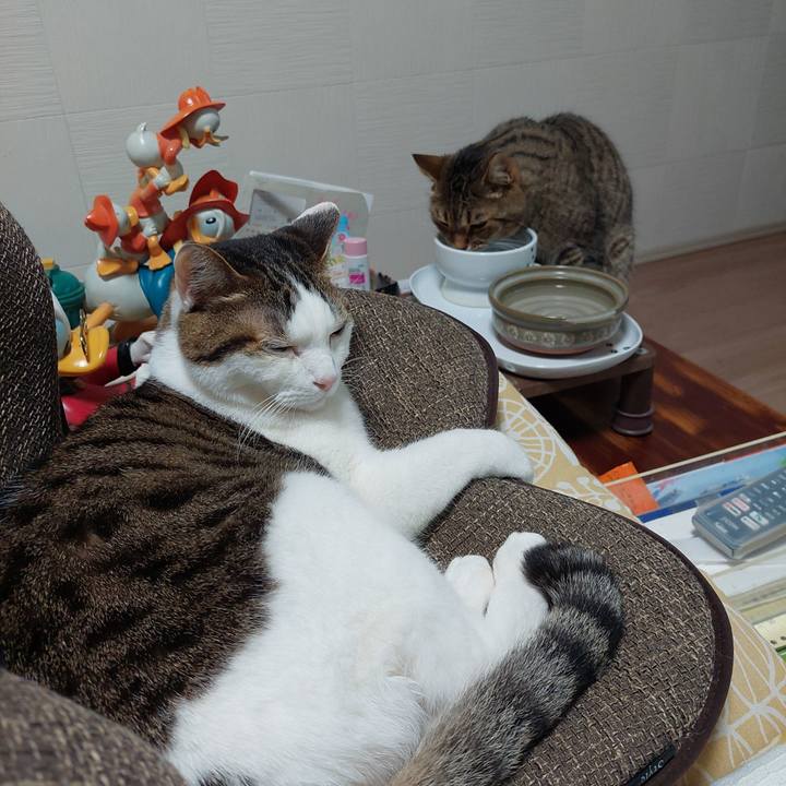 19b4b443 1784 4868 bfa2 6c0a8029f4bb 1747259466052