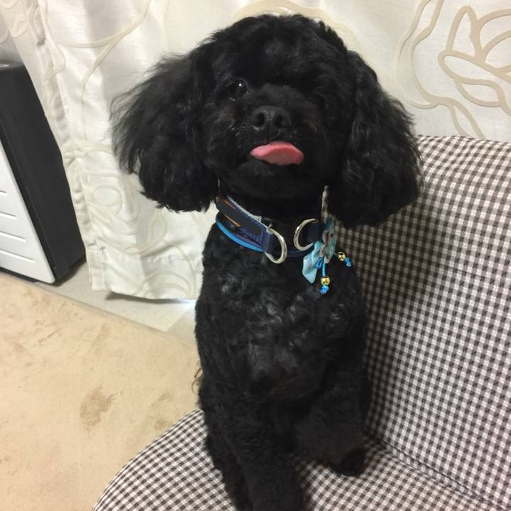 19b542b0 cb6b 45c4 9b64 afc981214e65 1525937381008