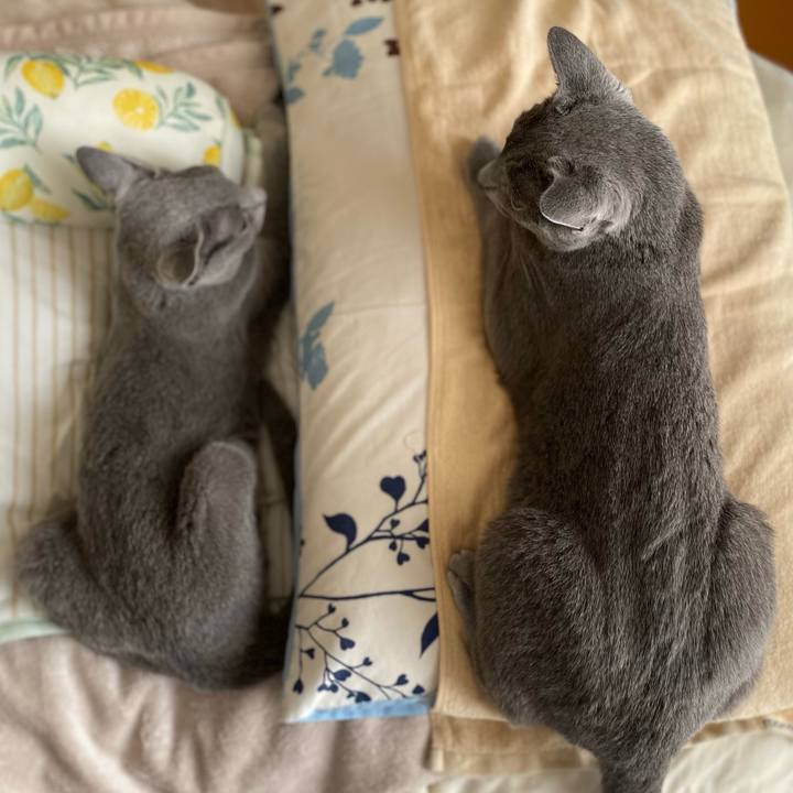 19b55a74 2b1e 42bc bc08 f4de812c4fd9 1663724063766