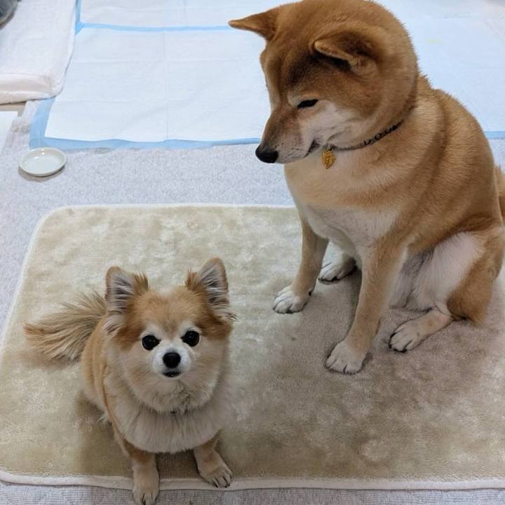 19b5ac1b 5627 4371 bce9 ad17cf923521 1772925242334