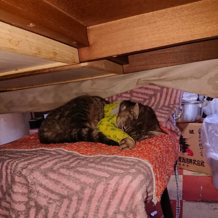 19b5d15e b113 44c4 ab21 fcd7e314e41f 1586417361239