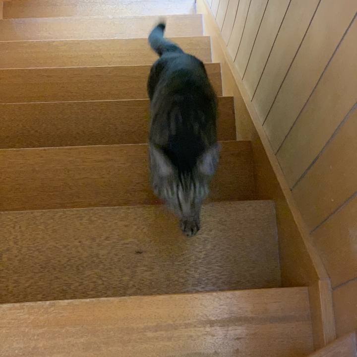 19b5d747 cd74 4f9a 9c5f bf16aa7d9453 1555896620865