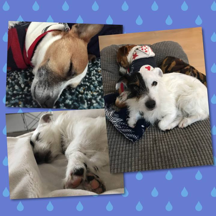 19b5d94a 7d00 4ddd 9f35 9b34f649220f 1520236841400