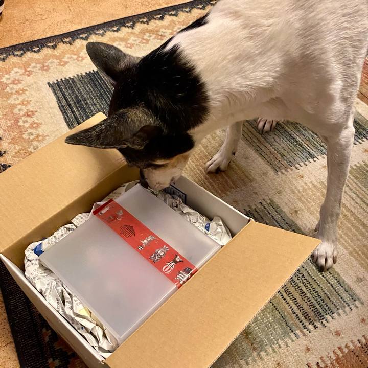 19b5e36d 4ab1 4ffe 9150 bcaba9f11559 1617105958847