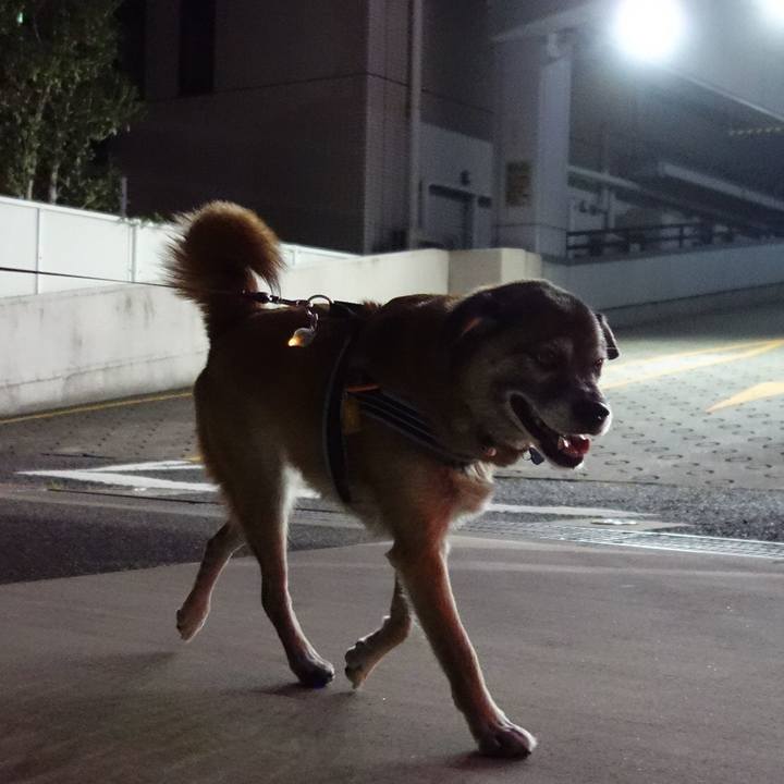 19b5e6a4 1e3b 487d b3ba 7846c705a123 1534516388589