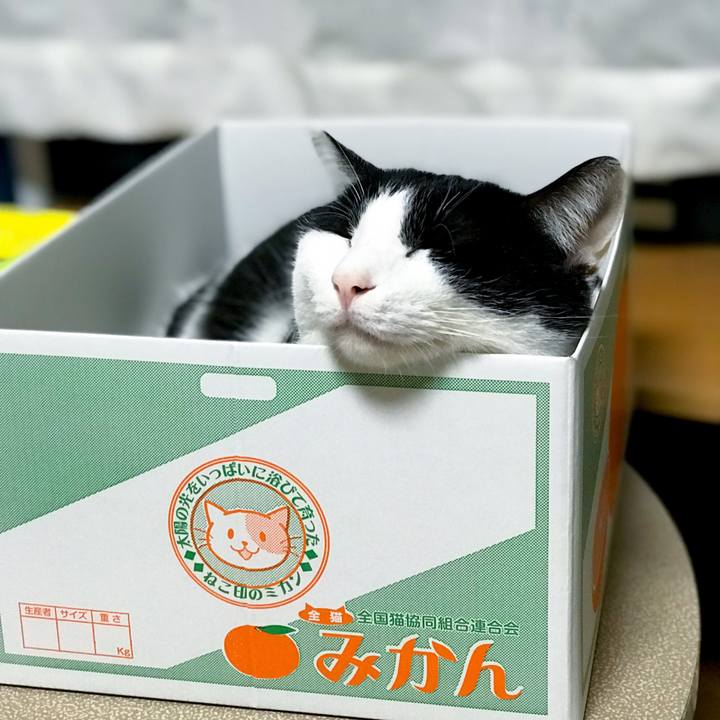 19b5f01b c0e9 49f0 8116 4bea87d53d63 1515070651659