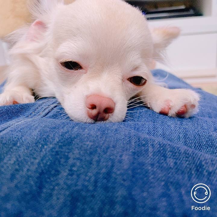 19b623f8 d04f 4965 b098 0151383d0c3d 1599453976708