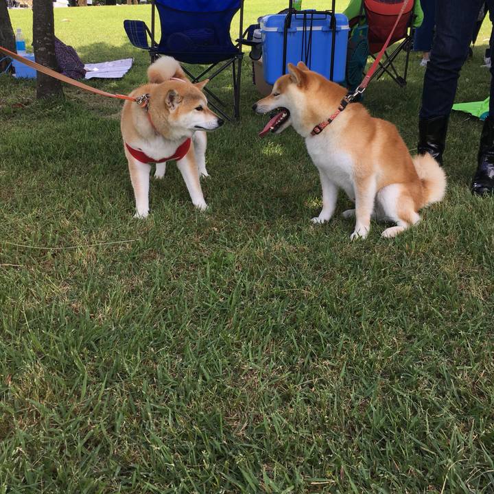 19b63e61 13a3 49be 9368 bb5775bc6e0e 1559976983395