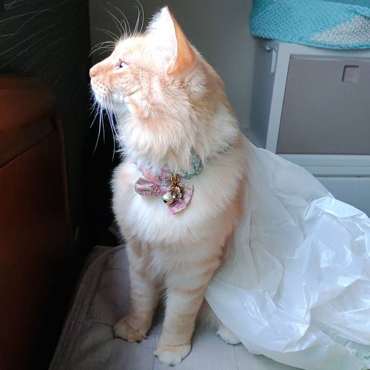 19b64057 85ac 4f29 b938 e93e85020ad6 1666392976562