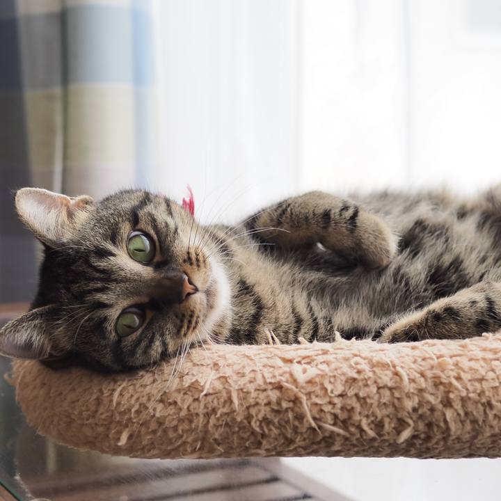 19b660b8 0ac8 4827 a08c 6584ffac98f8 1609329738766