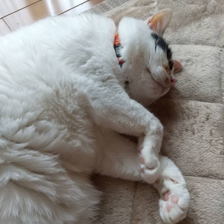 19b66be0 e242 4233 adb5 622b38287a60 1634098849167