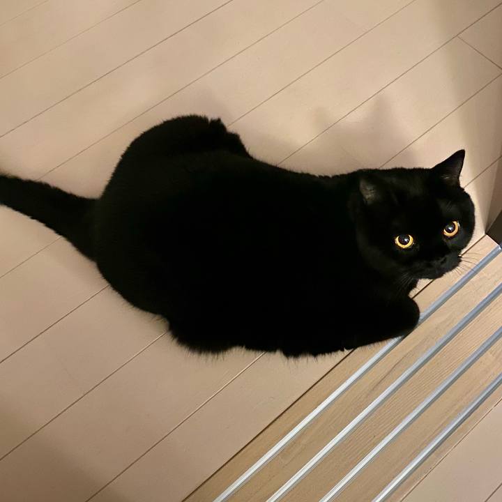 19b6a1d7 ab28 4f70 9051 2af2fde64ae5 1662039444203