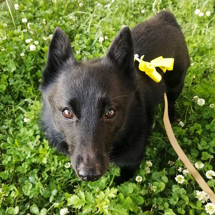 19b6d375 bc9d 4f13 af91 3536523d3f67 1651439228614