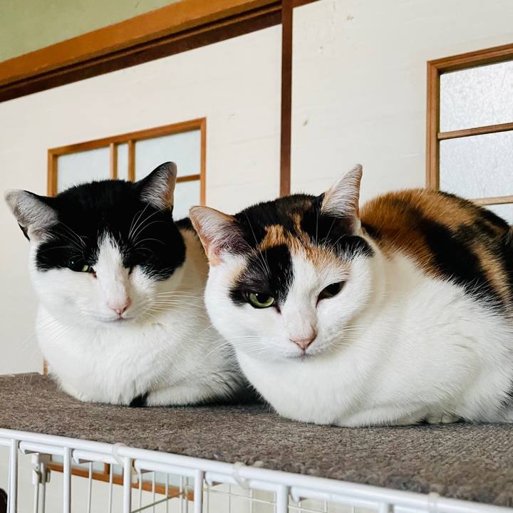 19b73b51 333d 4588 8bd6 2b133c747098 1614218705210